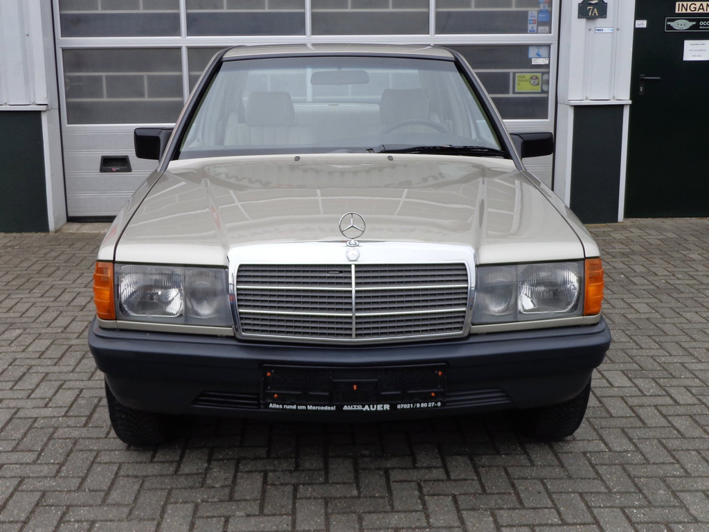 54328807-3.jpg